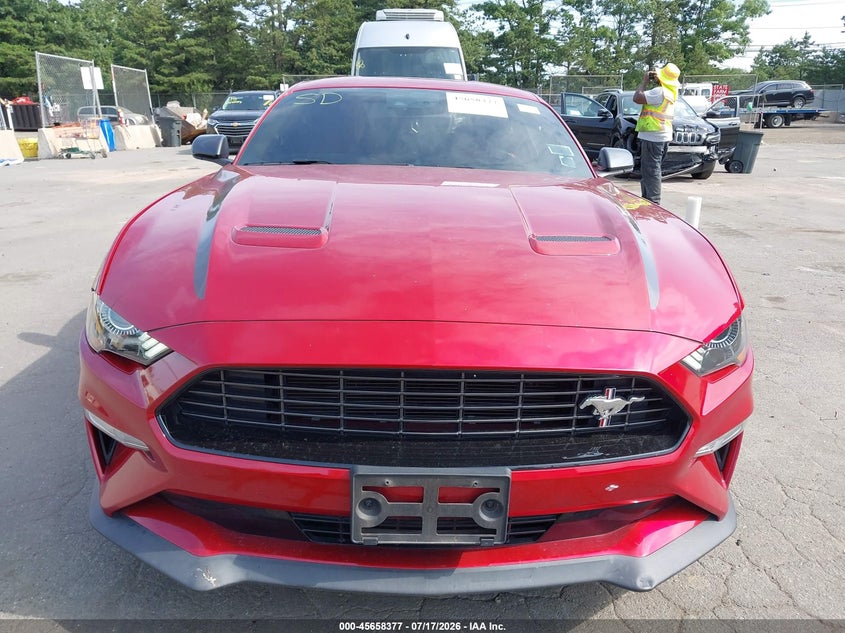 FORD MUSTANG - zdjęcie 12