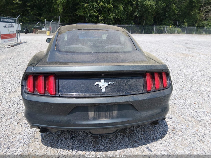 FORD MUSTANG - zdjęcie 16
