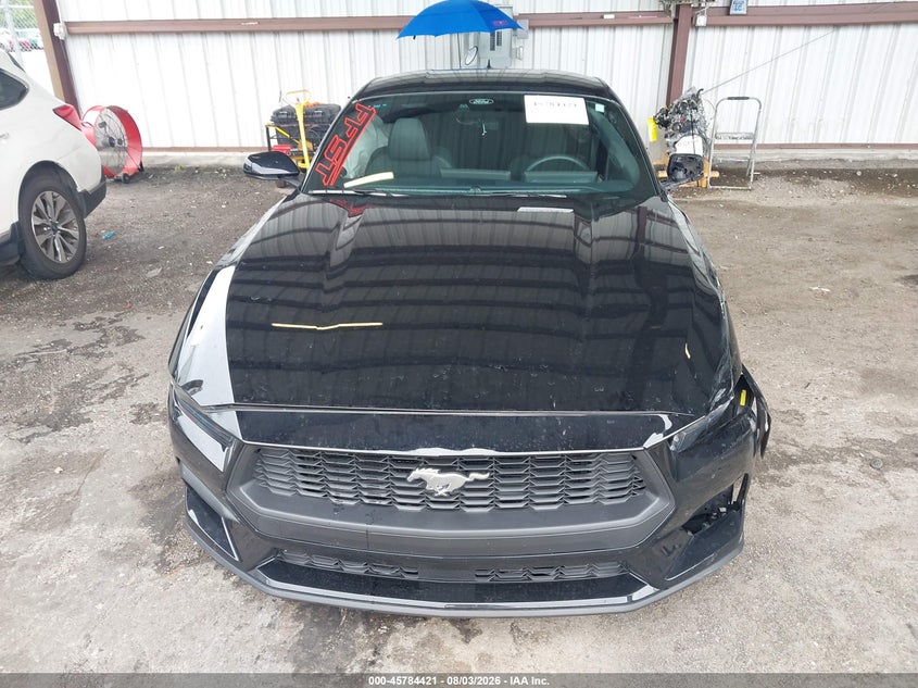 FORD MUSTANG - zdjęcie 12