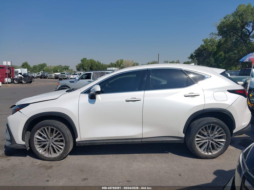 LEXUS NX 350 - zdjęcie 14