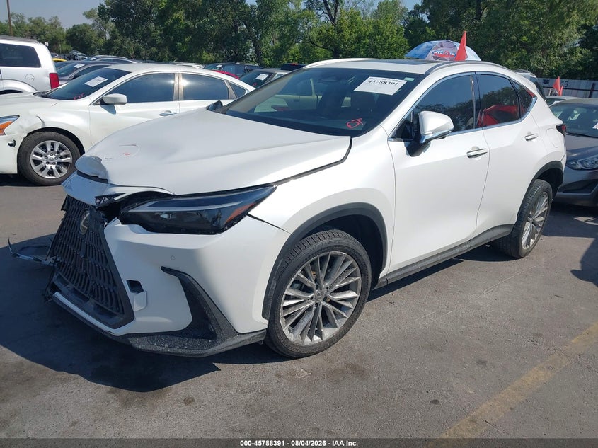 LEXUS NX 350 - zdjęcie 2