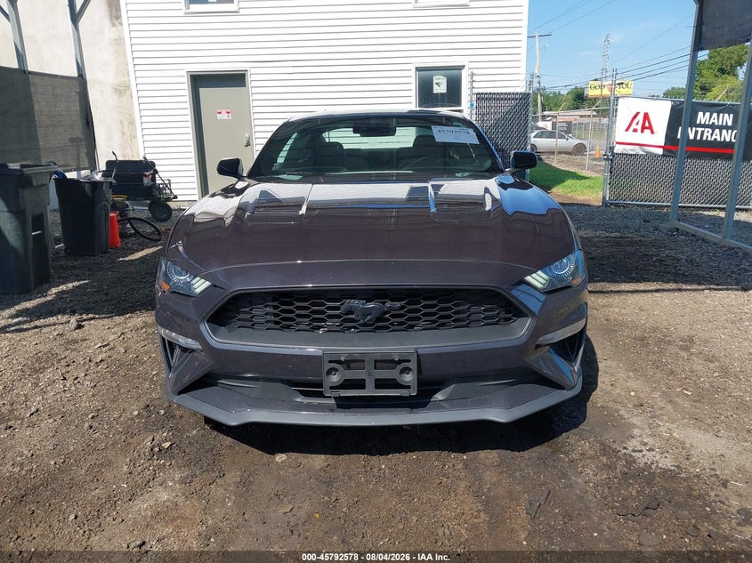 FORD MUSTANG - zdjęcie 13
