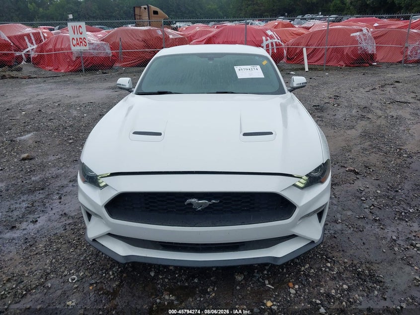 FORD MUSTANG - zdjęcie 12