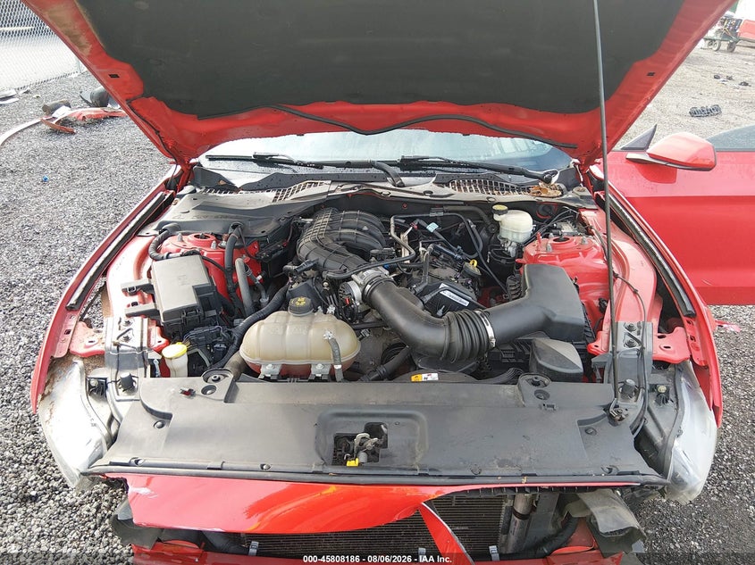 FORD MUSTANG - zdjęcie 10
