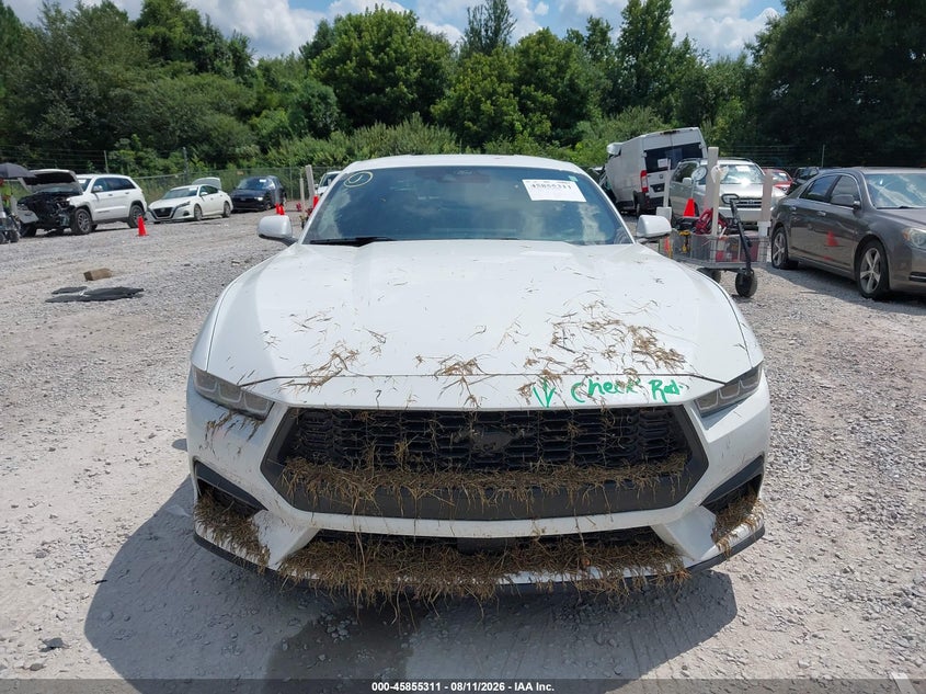 FORD MUSTANG - zdjęcie 12