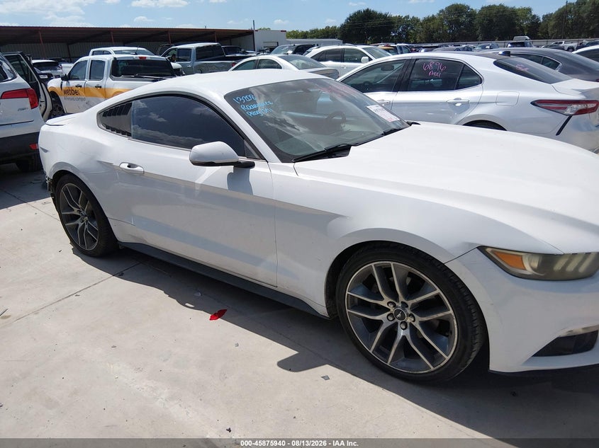 FORD MUSTANG - zdjęcie 13