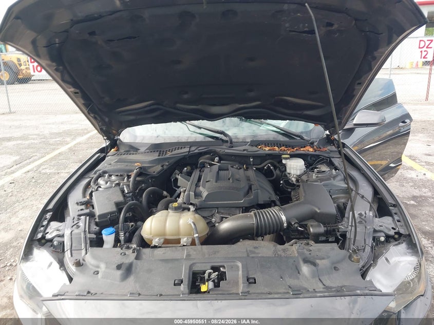 FORD MUSTANG - zdjęcie 10
