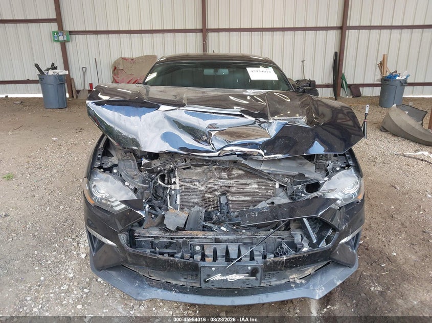 FORD MUSTANG - zdjęcie 6
