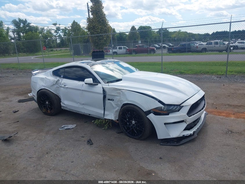 FORD MUSTANG - zdjęcie 1