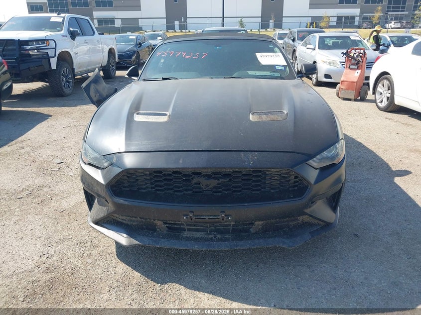 FORD MUSTANG - zdjęcie 12