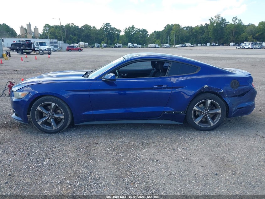 FORD MUSTANG - zdjęcie 14