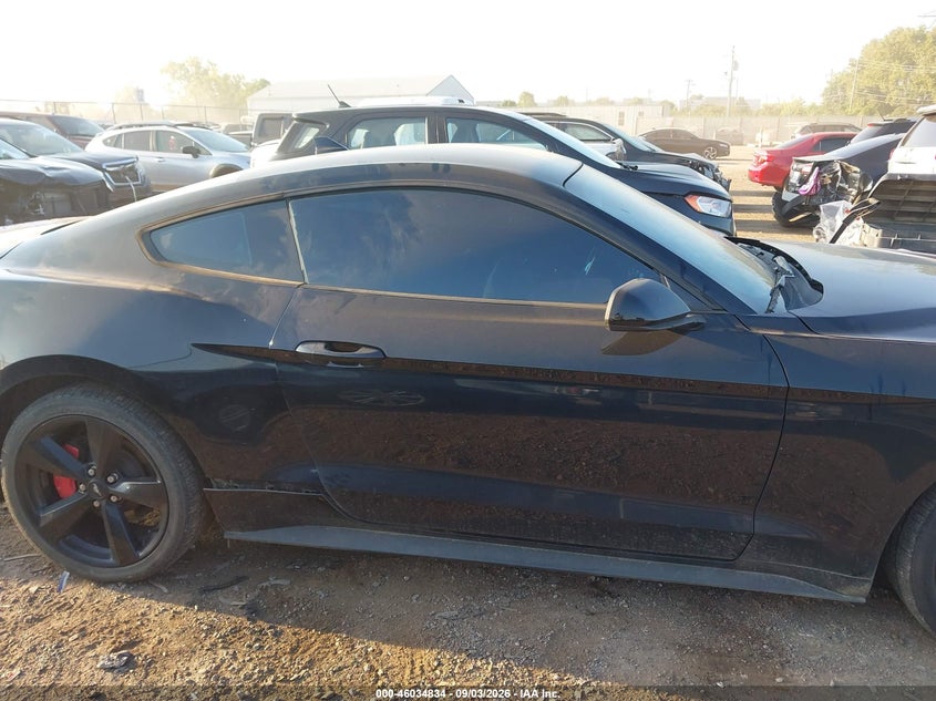 FORD MUSTANG - zdjęcie 14