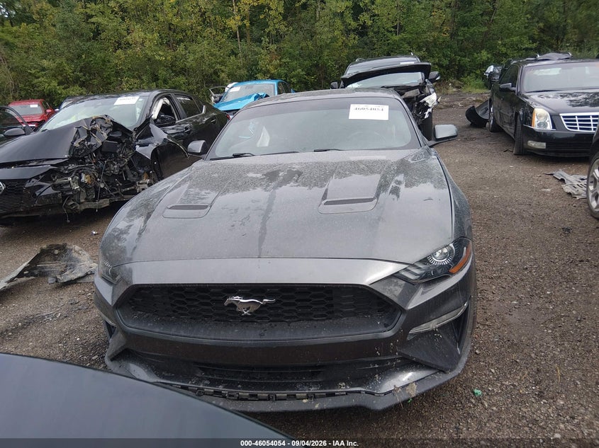FORD MUSTANG - zdjęcie 12