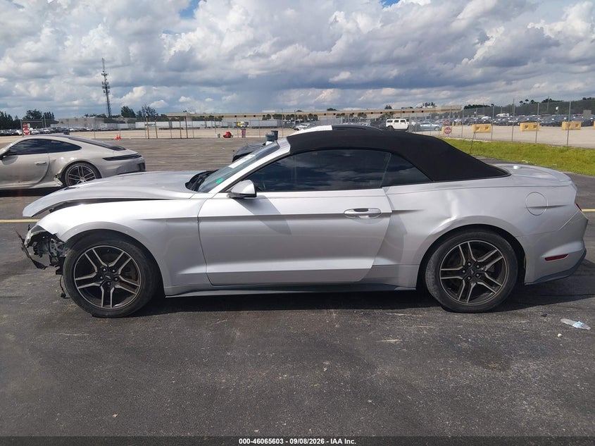 FORD MUSTANG - zdjęcie 14
