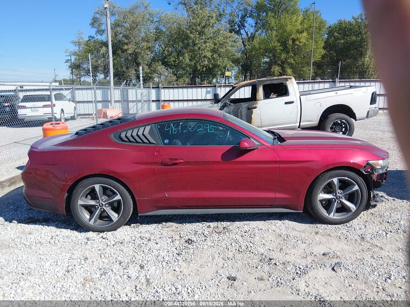 FORD MUSTANG - zdjęcie 14