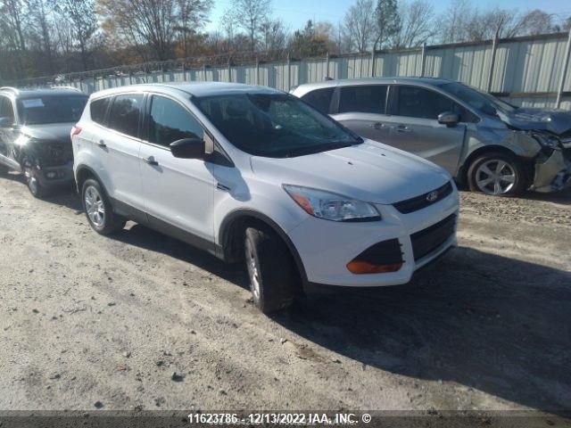 Auction sale of the 2013 Ford Escape, vin: 1FMCU0F70DUC81099, lot number: 11623786