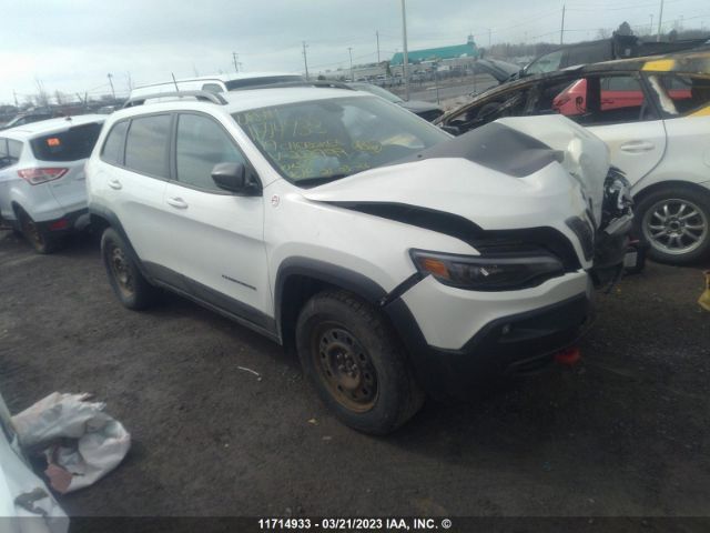 Auction sale of the 2019 Jeep Cherokee Trailhawk, vin: 1C4PJMBX9KD223999, lot number: 11714933