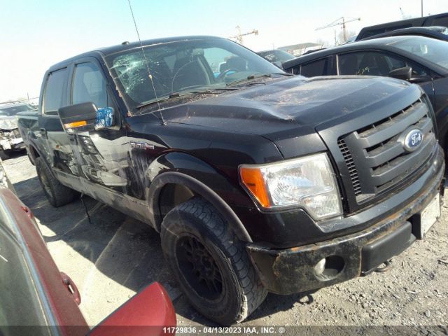 Auction sale of the 2010 Ford F150 Supercrew, vin: 1FTFW1EV6AFB19060, lot number: 11729836