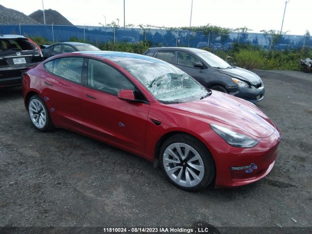 Auction sale of the 2023 Tesla Model 3 Long Range, vin: 5YJ3E1EB8PF416775, lot number: 11810024