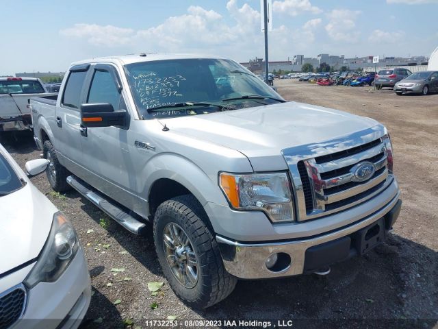 Auction sale of the 2009 Ford F150 Supercrew, vin: 1FTPW14VX9FB12887, lot number: 11732253