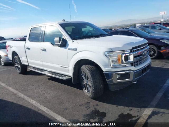 Auction sale of the 2019 Ford F-150 Xlt, vin: 1FTFW1E18KFA01414, lot number: 11891170