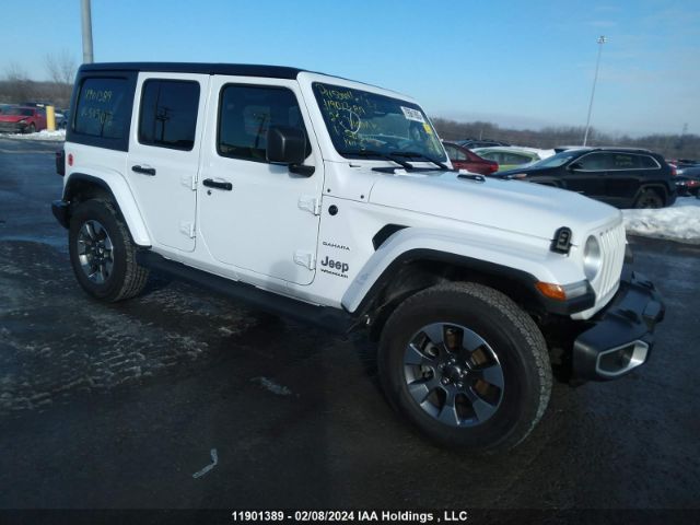 Auction sale of the 2023 Jeep Wrangler Sahara, vin: 1C4HJXEG3PW503012, lot number: 11901389