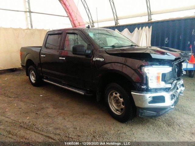 Auction sale of the 2019 Ford F-150 Xlt, vin: 1FTEW1EP7KFD37376, lot number: 11905390