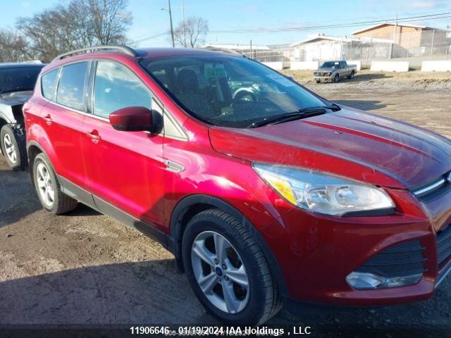 Auction sale of the 2014 Ford Escape, vin: 1FMCU9G96EUD27573, lot number: 11906646