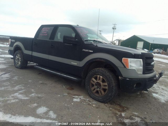 Auction sale of the 2014 Ford F150 Supercrew, vin: 1FTFW1ET3EKG26820, lot number: 11913467