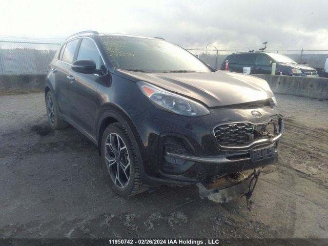 Auction sale of the 2022 Kia Sportage Sx, vin: KNDPRCA63N7982744, lot number: 11950742