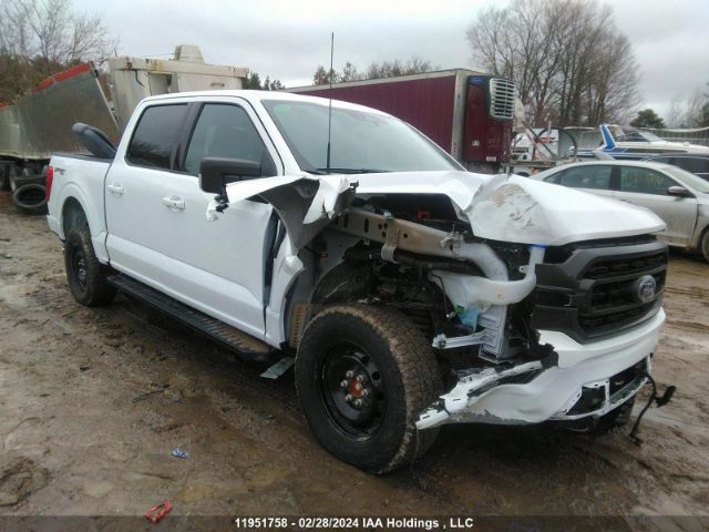 Auction sale of the 2023 Ford F-150, vin: 1FTFW1E59PFC52775, lot number: 11951758