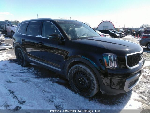 Auction sale of the 2023 Kia Telluride, vin: 5XYP3DGC5PG334185, lot number: 11952516