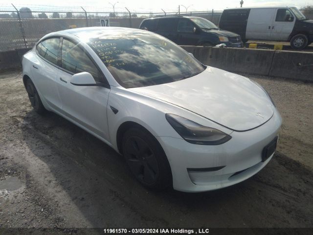 Auction sale of the 2021 Tesla Model 3, vin: 5YJ3E1EA5MF061342, lot number: 11961570