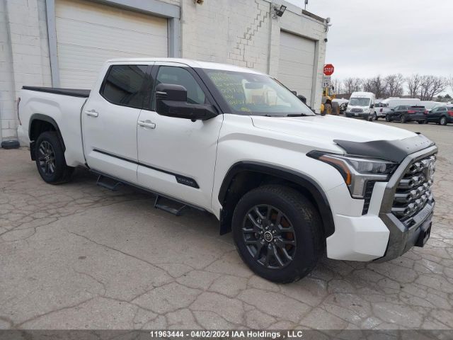 Auction sale of the 2022 Toyota Tundra Platinum, vin: 5TFNA5EC0NX009704, lot number: 11963444
