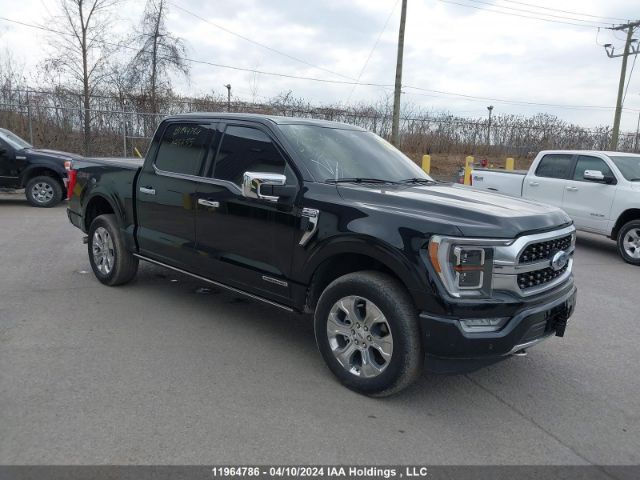 Auction sale of the 2023 Ford F150 Supercrew, vin: 1FTFW1ED7PFA88255, lot number: 11964786