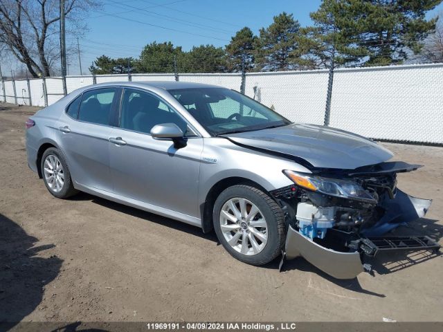 Auction sale of the 2019 Toyota Camry Le, vin: 4T1B31HK3KU509079, lot number: 11969191