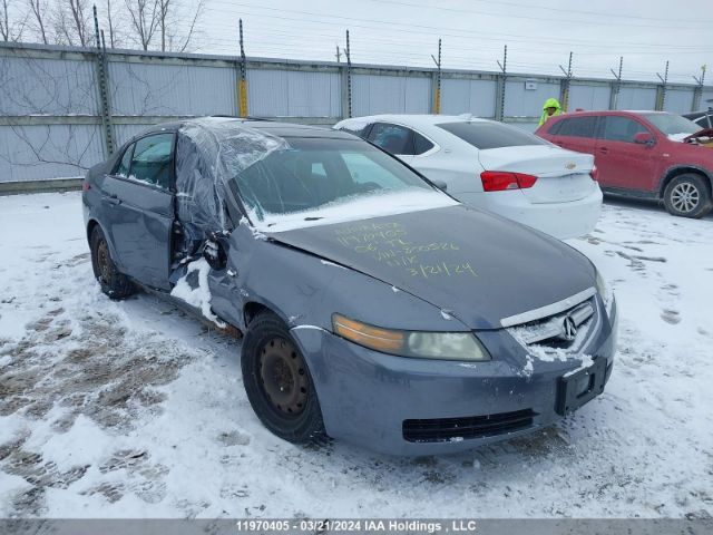 Auction sale of the 2006 Acura Tl, vin: 19UUA66266A800526, lot number: 11970405