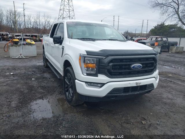 Auction sale of the 2022 Ford F-150 Xlt, vin: 1FTFW1E84NFB41316, lot number: 11971013