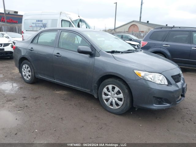Auction sale of the 2010 Toyota Corolla Le, vin: 2T1BU4EE3AC237520, lot number: 11974483