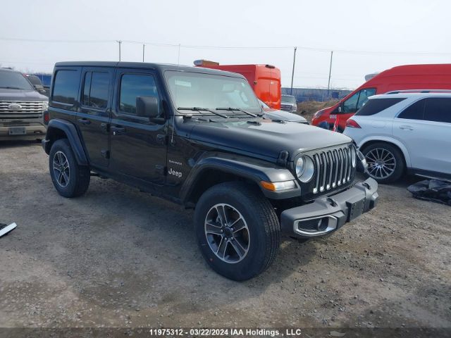 Auction sale of the 2023 Jeep Wrangler Sahara, vin: 1C4HJXEG4PW606987, lot number: 11975312