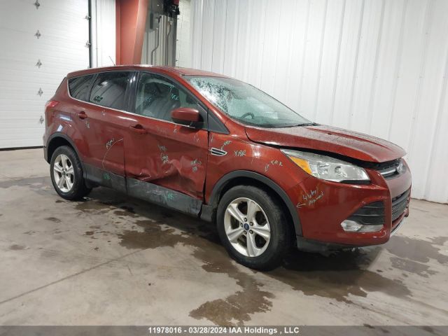 Auction sale of the 2016 Ford Escape Se, vin: 1FMCU9G91GUA15857, lot number: 11978016