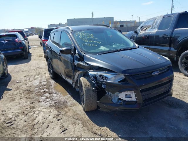 Auction sale of the 2015 Ford Escape Se, vin: 1FMCU0G91FUB75408, lot number: 11983914