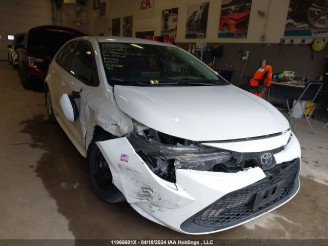 Auction sale of the 2020 Toyota Corolla L/le/xle, vin: 5YFBPRBE2LP019452, lot number: 11966601