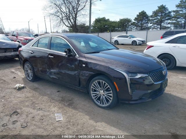 Auction sale of the 2021 Cadillac Ct4, vin: 1G6DF5RKXM0134900, lot number: 11985810