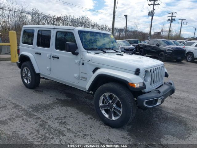 Auction sale of the 2023 Jeep Wrangler Sahara, vin: 1C4HJXEG5PW586958, lot number: 11987751