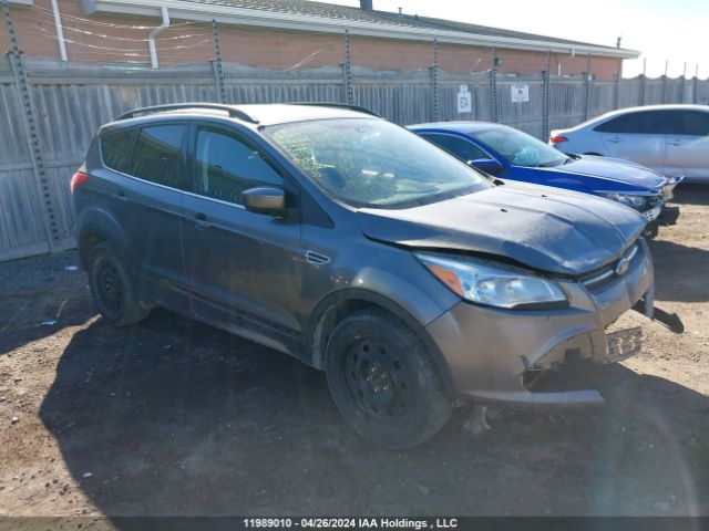 Auction sale of the 2014 Ford Escape Se, vin: 1FMCU9GX5EUD47411, lot number: 11989010