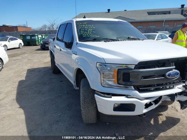 Auction sale of the 2020 Ford F-150 Xlt, vin: 1FTEW1EP9LFC50158, lot number: 11989101