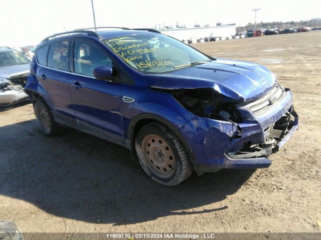 Auction sale of the 2013 Ford Escape Se, vin: 1FMCU9GX8DUD43819, lot number: 11969710