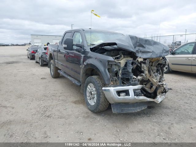 Auction sale of the 2019 Ford F250 Super Duty, vin: 1FT7W2B64KED16601, lot number: 11991343