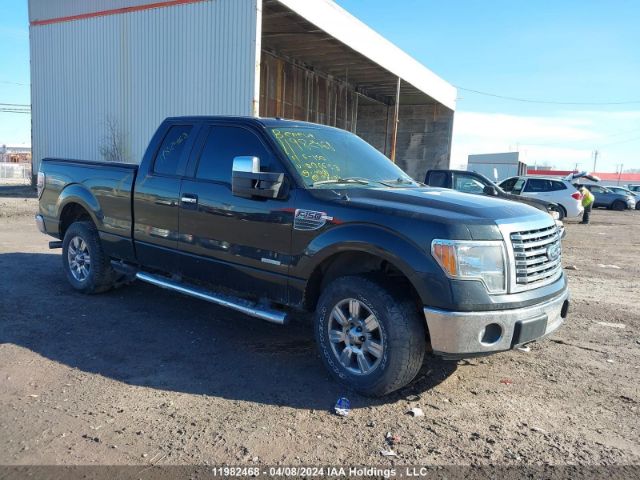 Auction sale of the 2011 Ford F-150 Xlt, vin: 1FTFX1ET5BFB06653, lot number: 11982468